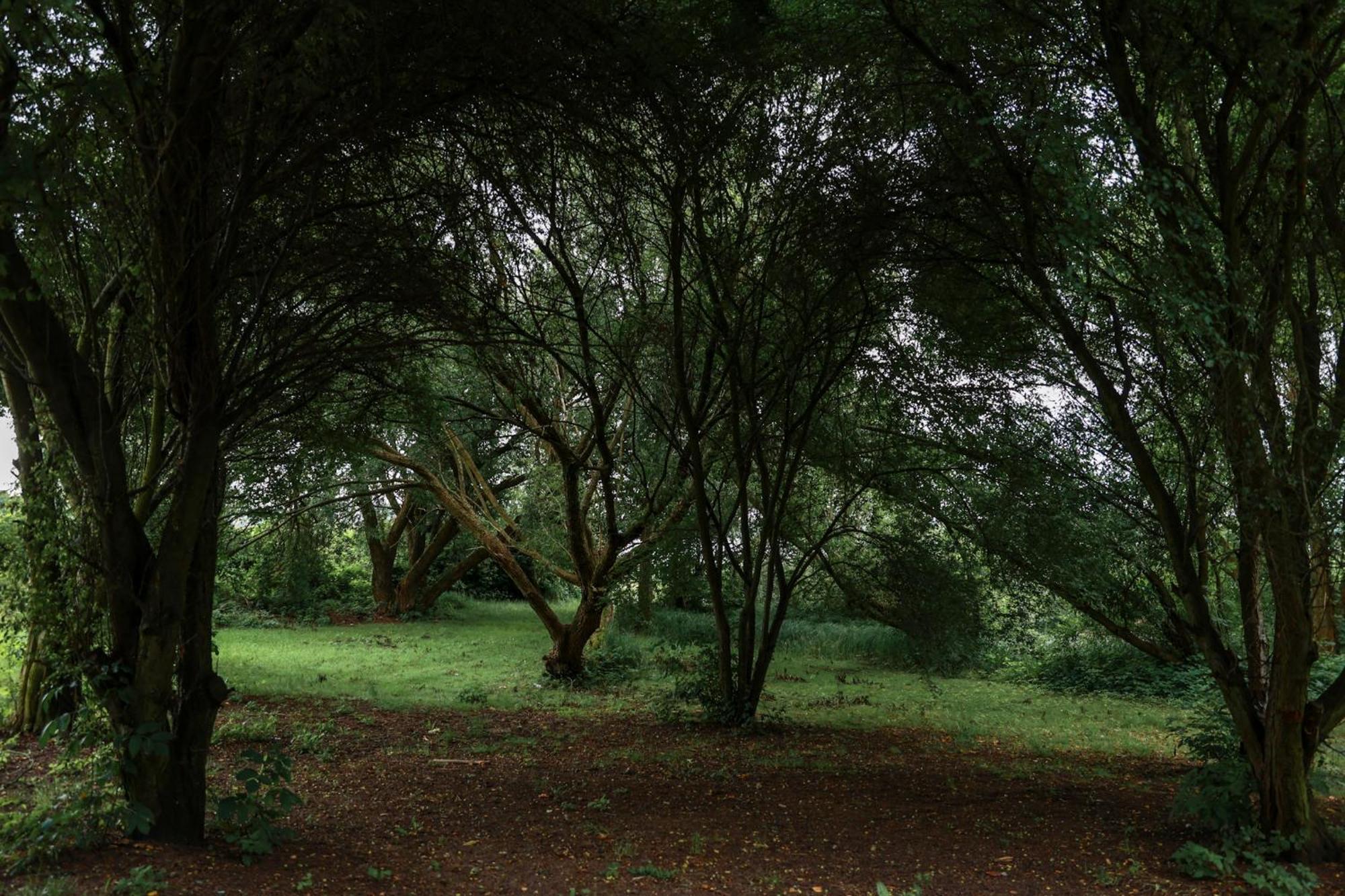 Jej I Jego - Eleganckie Domki Z Balia Na Wylacznosc Niewiesze Exterior photo
